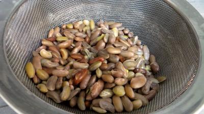 Comment utiliser rapidement les haricots secs ?