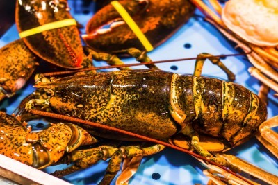 Comment trancher un homard ?