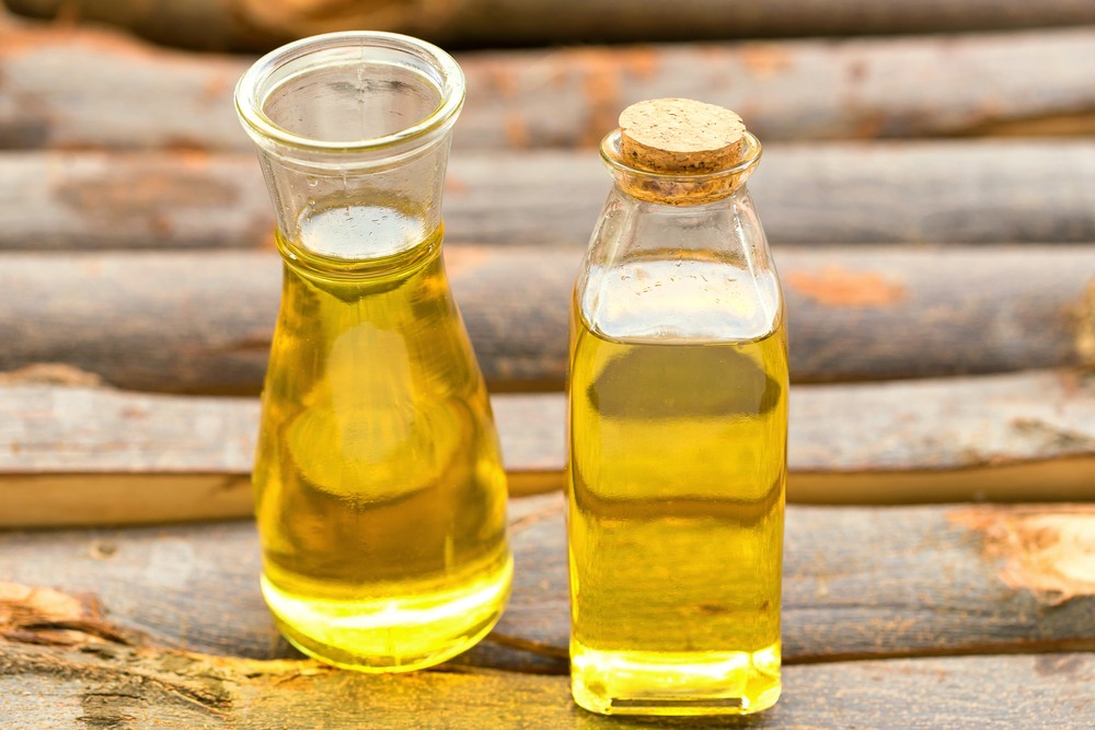 Comment vitaminer et protéger les plantes des pucerons ?