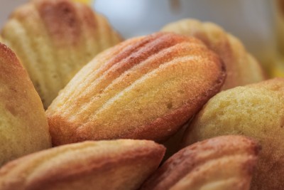 Madeleines au Mâconnais