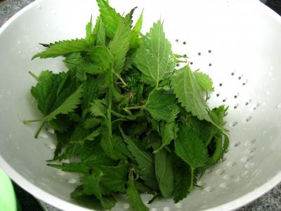 Vitamine B5