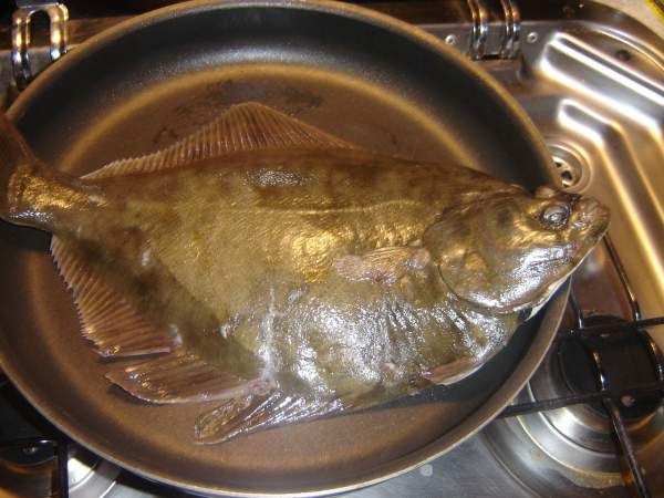 Barbue