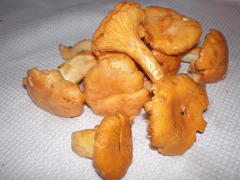 Comment nettoyer les champignons ?