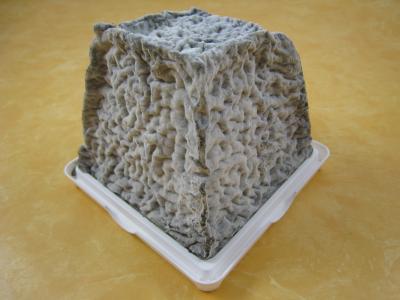 Valençay (fromage)