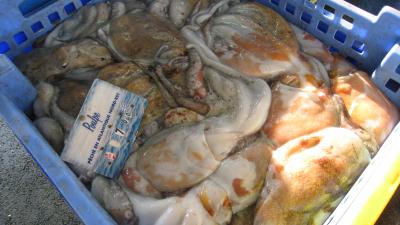 Comment préparer des poulpes ?