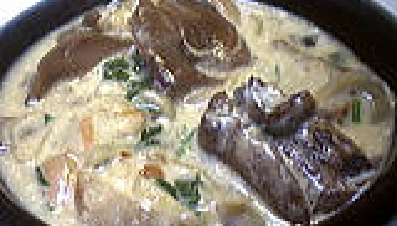 Champignons forestiers
