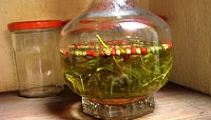Estragon et vinaigre