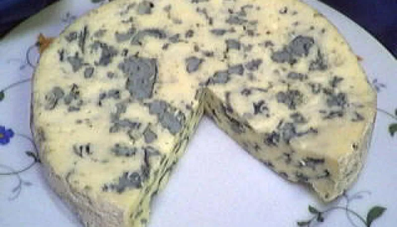 Fourme d'Ambert 