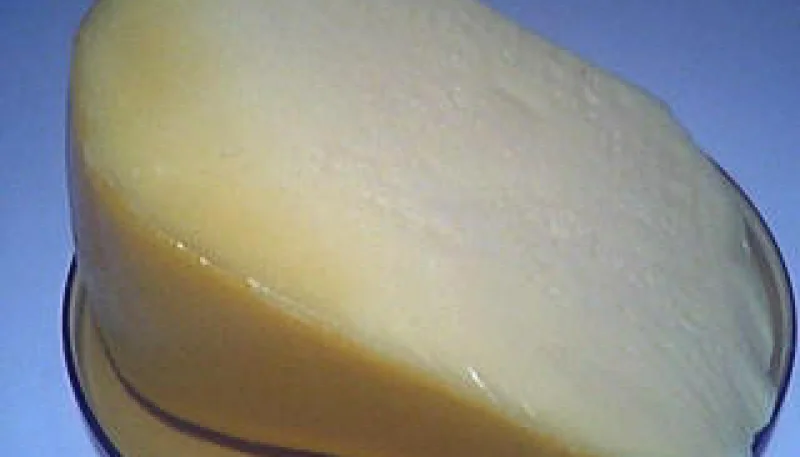 Gouda 