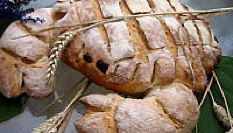 Pain blanc et son crabe
