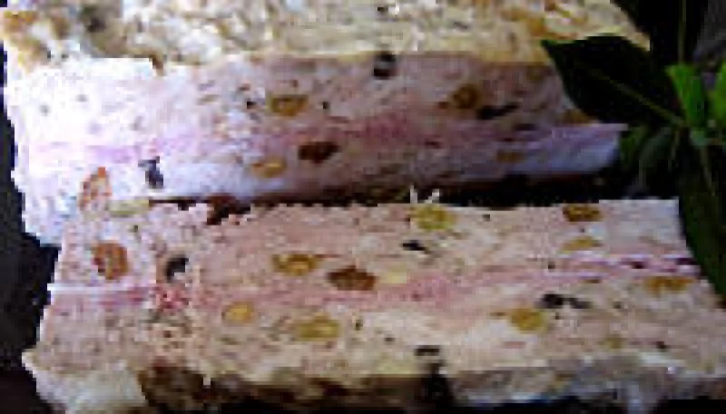 Pâté de campagne aux raisins secs