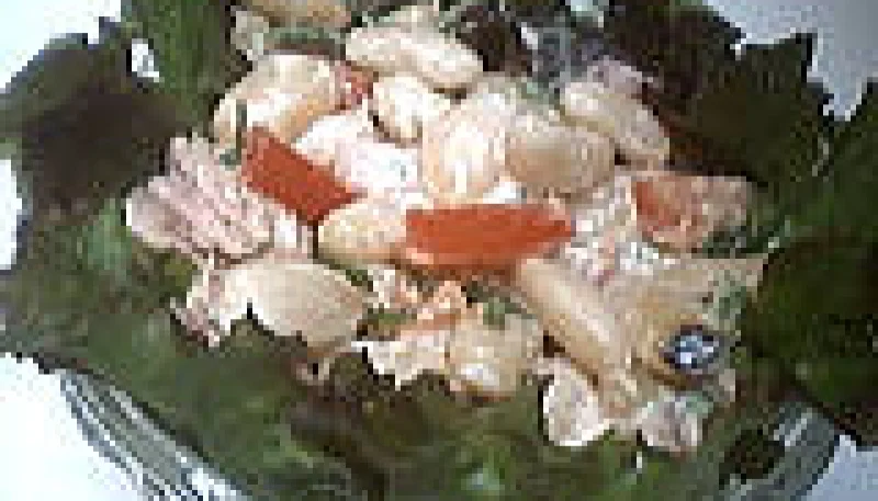 Salade de haricots blancs au thon