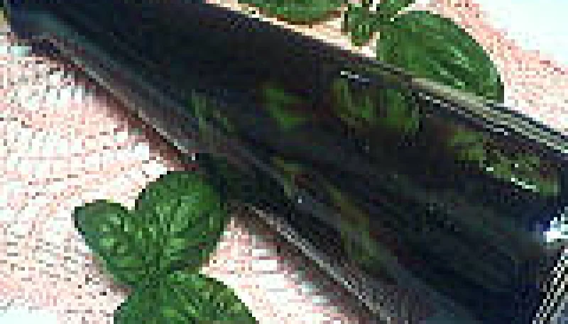 Vinaigre au parfum de basilic