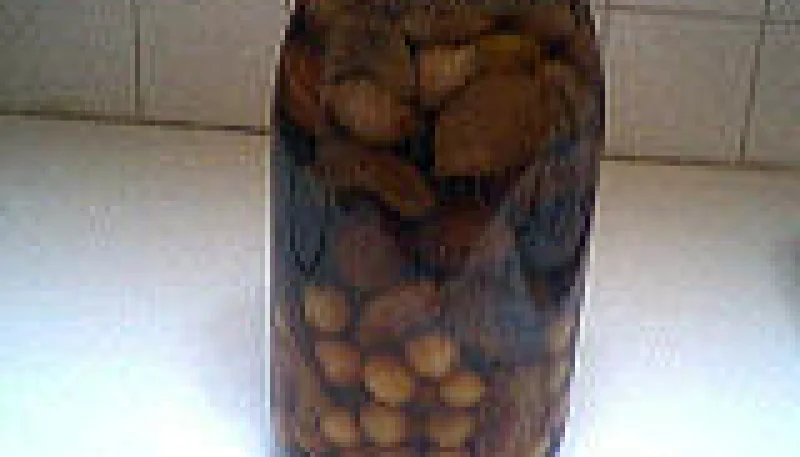 Liqueur vieux garçon