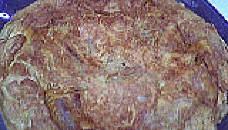 Omelette aux cardons