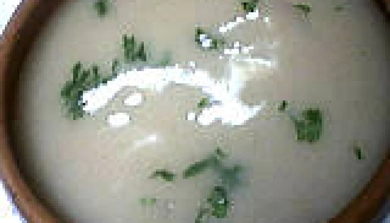 Potage aux chicons ou endives