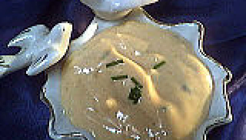 Sauce mayonnaise aigre-douce