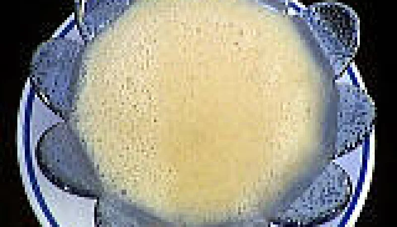 Sauce aux pommes