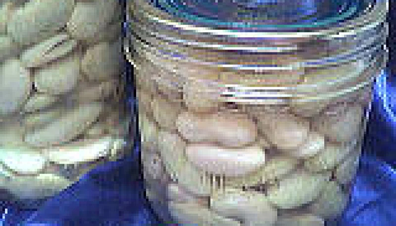 Stérilisation des haricots blancs
