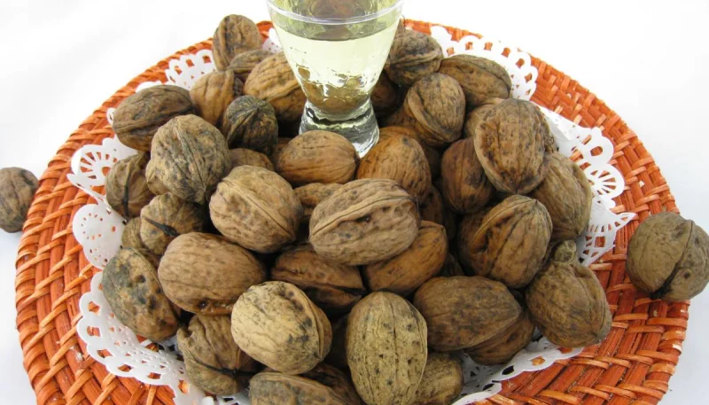 Acide gras