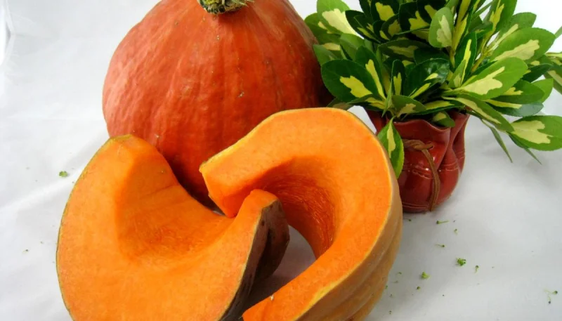 Potimarron