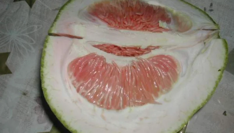 Pomélo, Pamplemousse