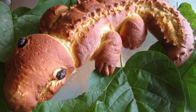 Pain crocodile
