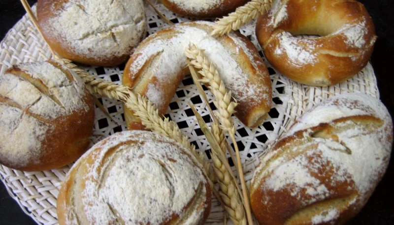 Petits pains à l'épeautre