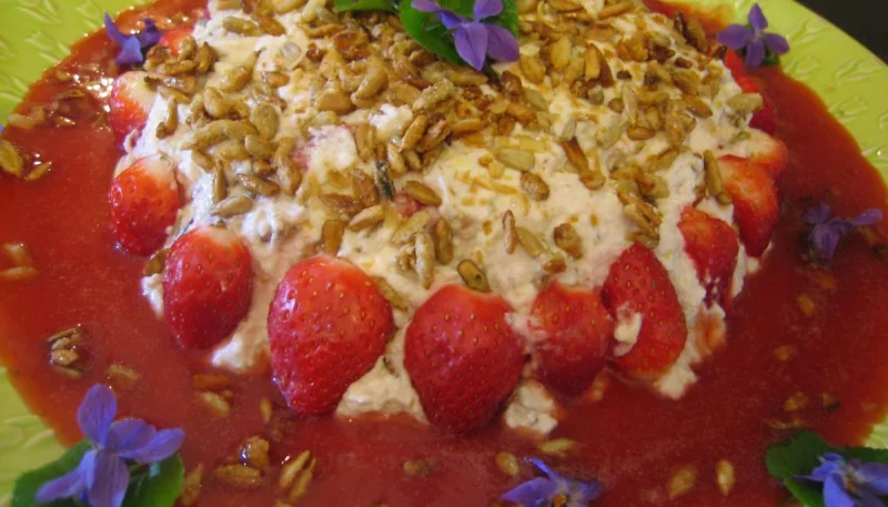 Mousse aux graines de tournesol et son coulis de fraises