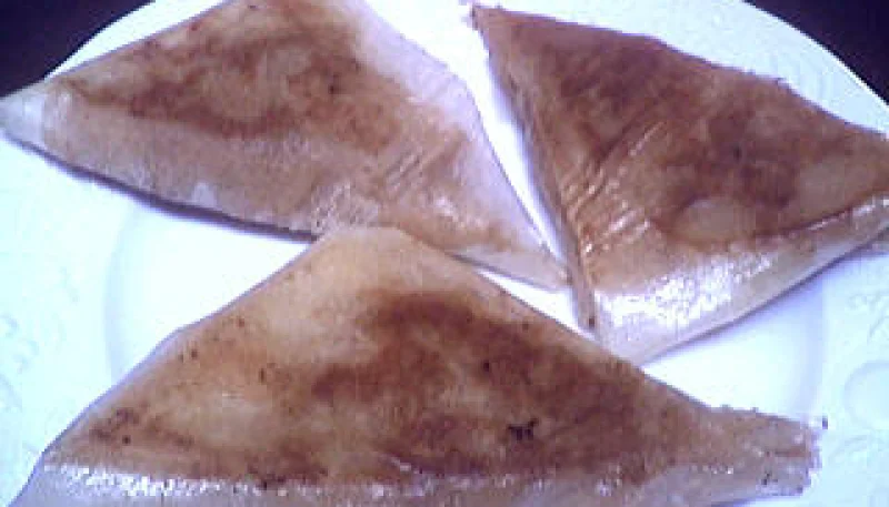 Bricks de saumon