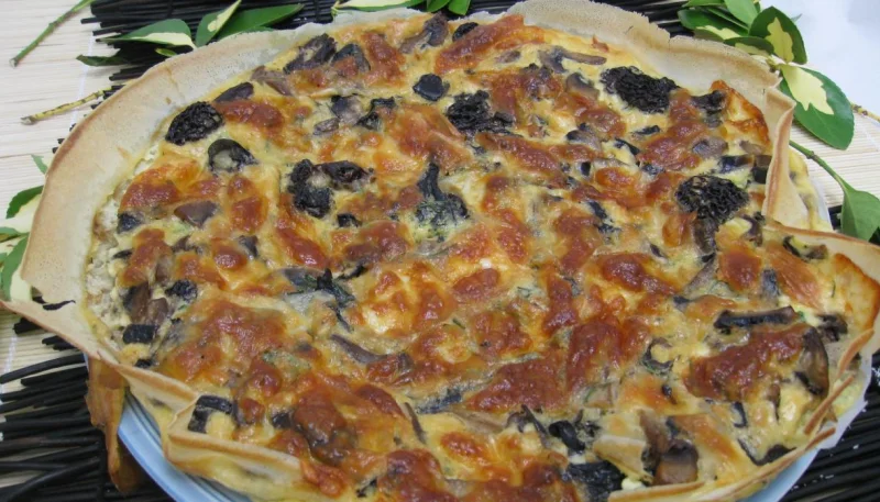 Brick aux champignons des bois