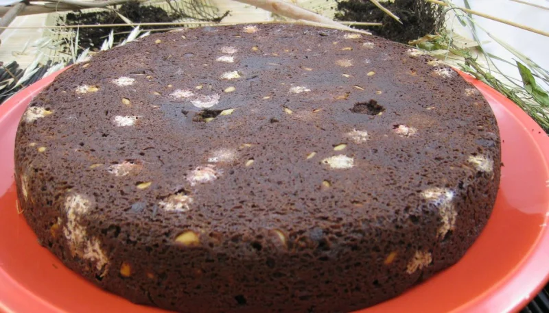 Brownies moisis aux asticots