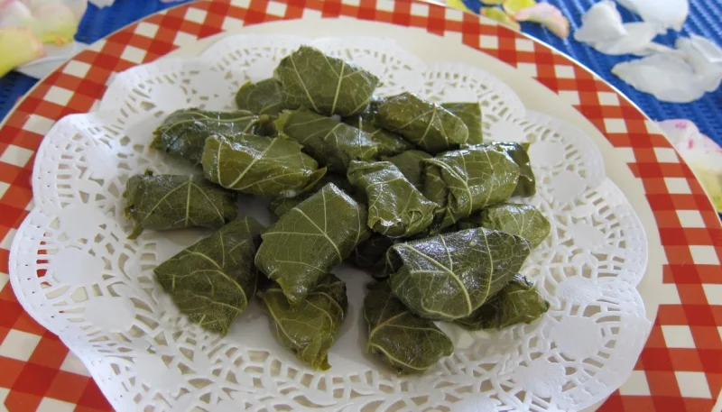 Dolmas aux épinards revisités