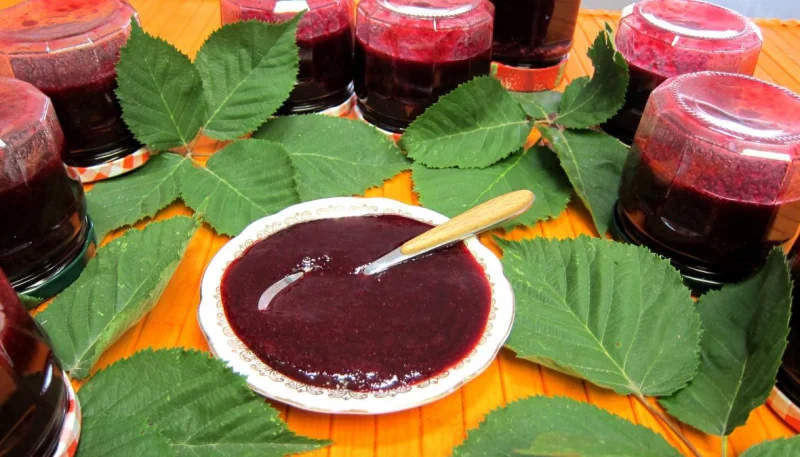 Gelée de mûres aux noisettes