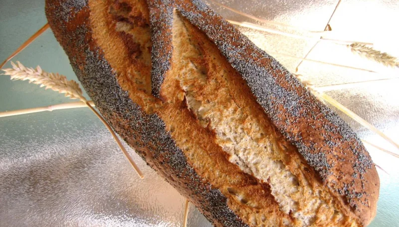 Pain paysan à pâte fermentée