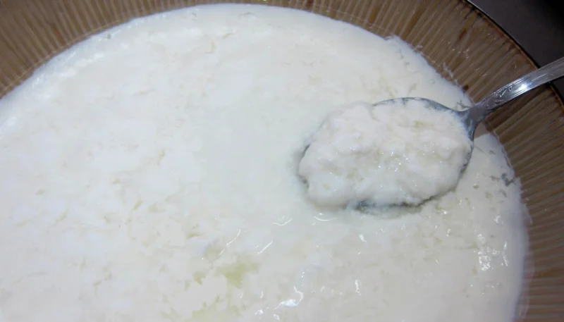 Caillé de vache au lait cru