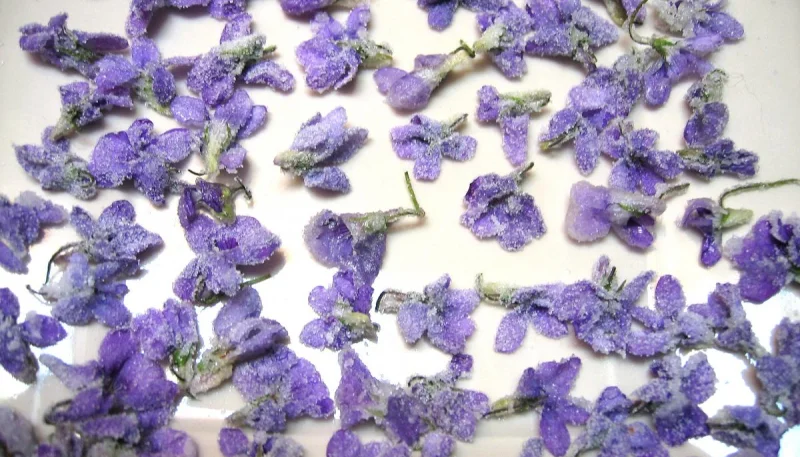 Fleurs cristallisées