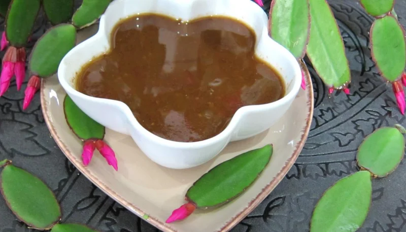 Sauce aux câpres minceur