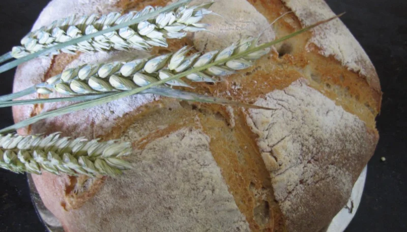 Pain de campagne au poolish