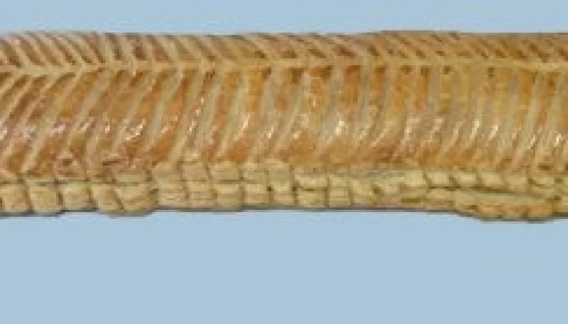 Dartois