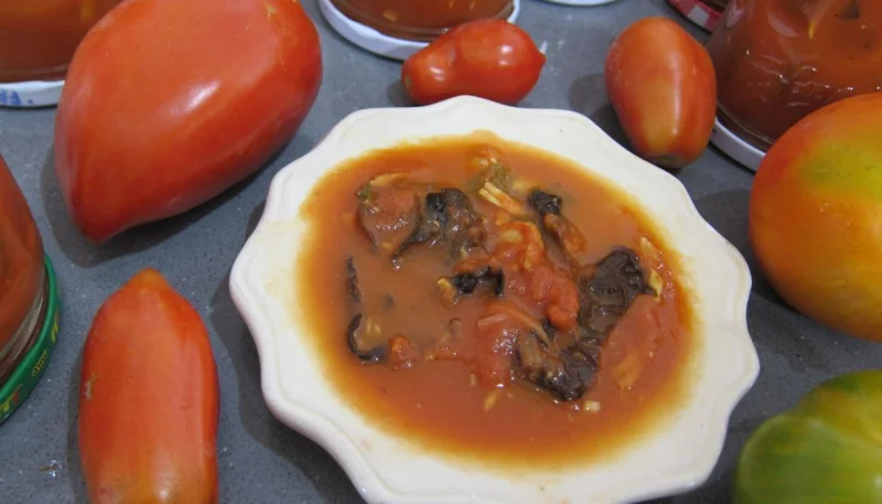 Sauce tomate aux champignons noirs (conserves)