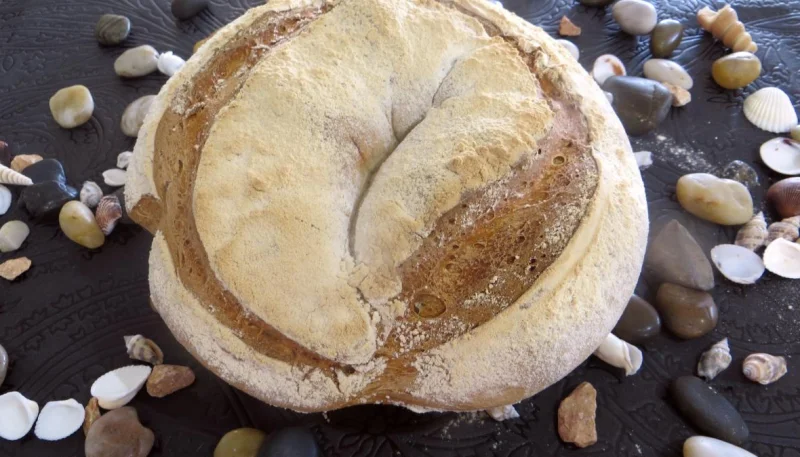 Pain de campagne sur levain
