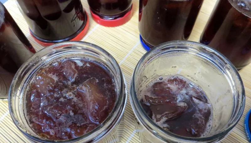 Confiture de prunes à la sangria