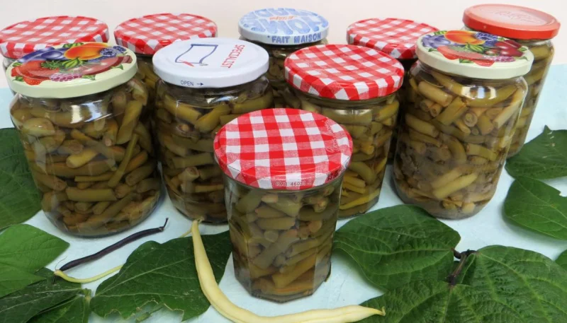 Stérilisation des haricots verts