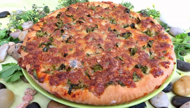 Pizza aux broutes