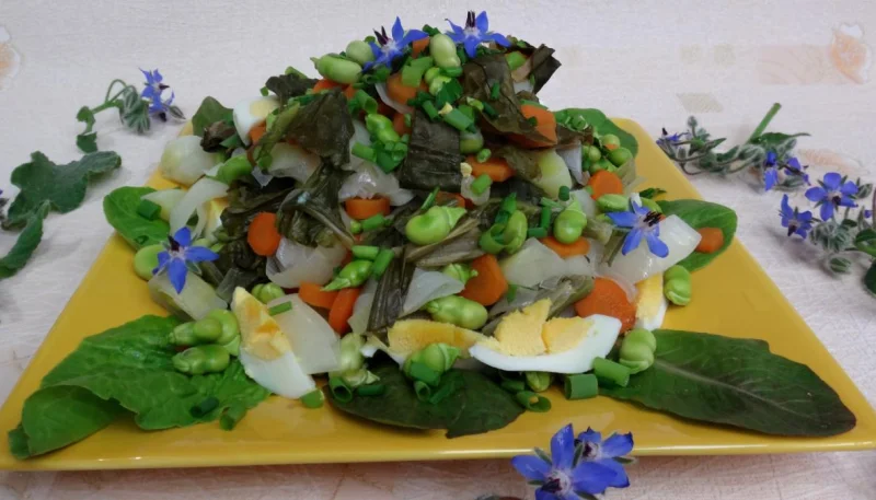 Salade braisée aux carottes