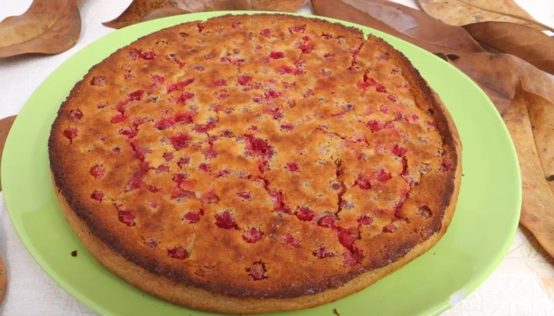 Clafoutis aux groseilles