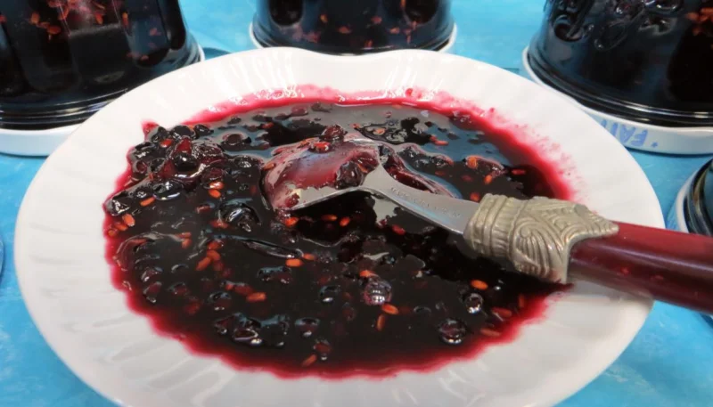Confiture de baies de sureau à la rhubarbe