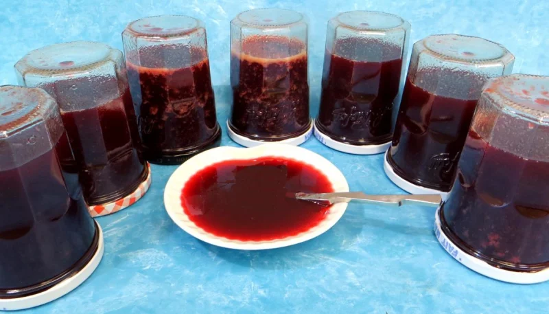 Gelée de mûres et prunes jaunes