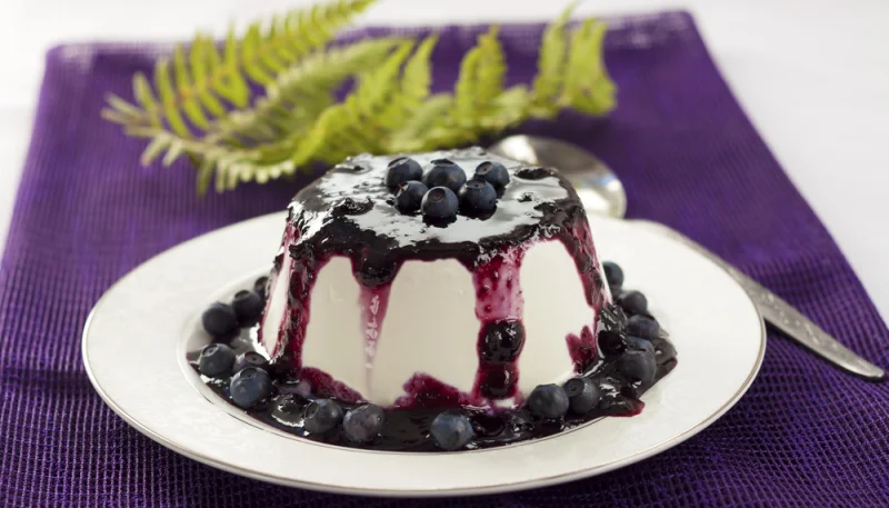 Panna cotta aux myrtilles